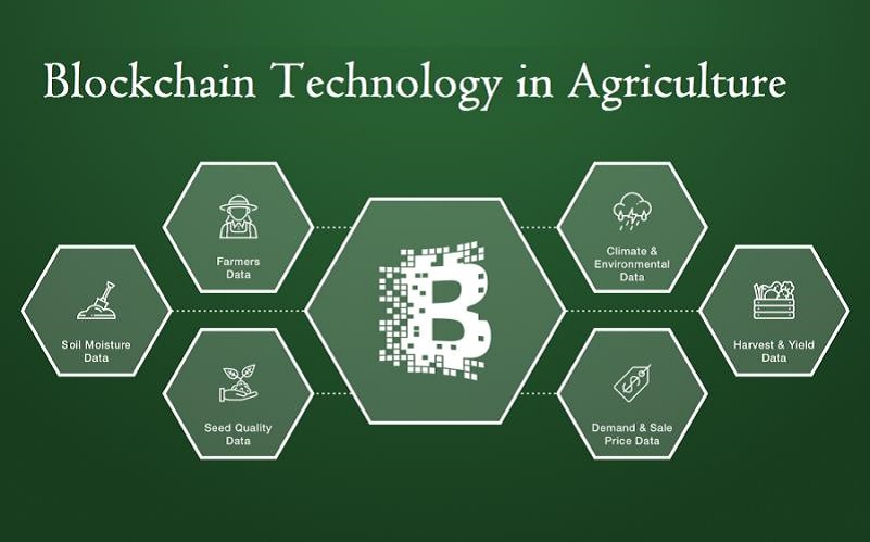 blockchain technology and Agriculture BitsourceiT